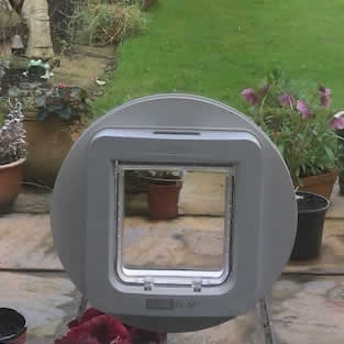 Cat Flap Installations Stockport